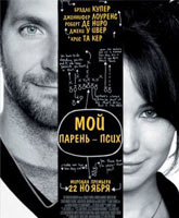 Silver Linings Playbook /    